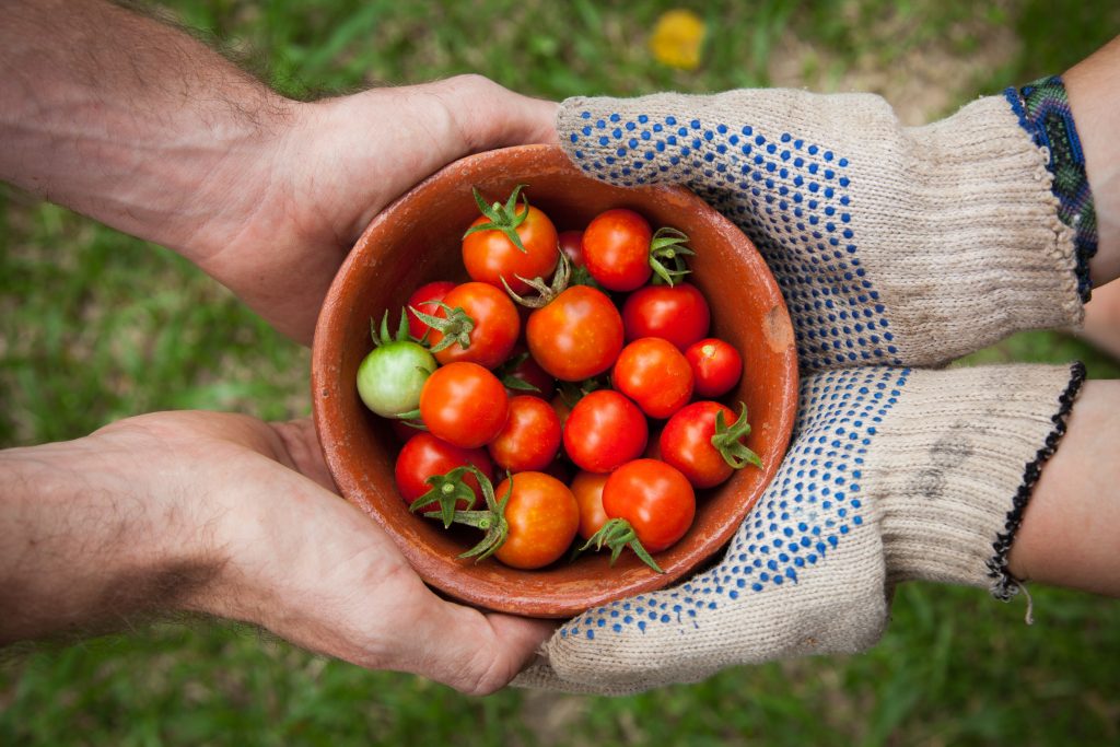 ¡el arte de comer!